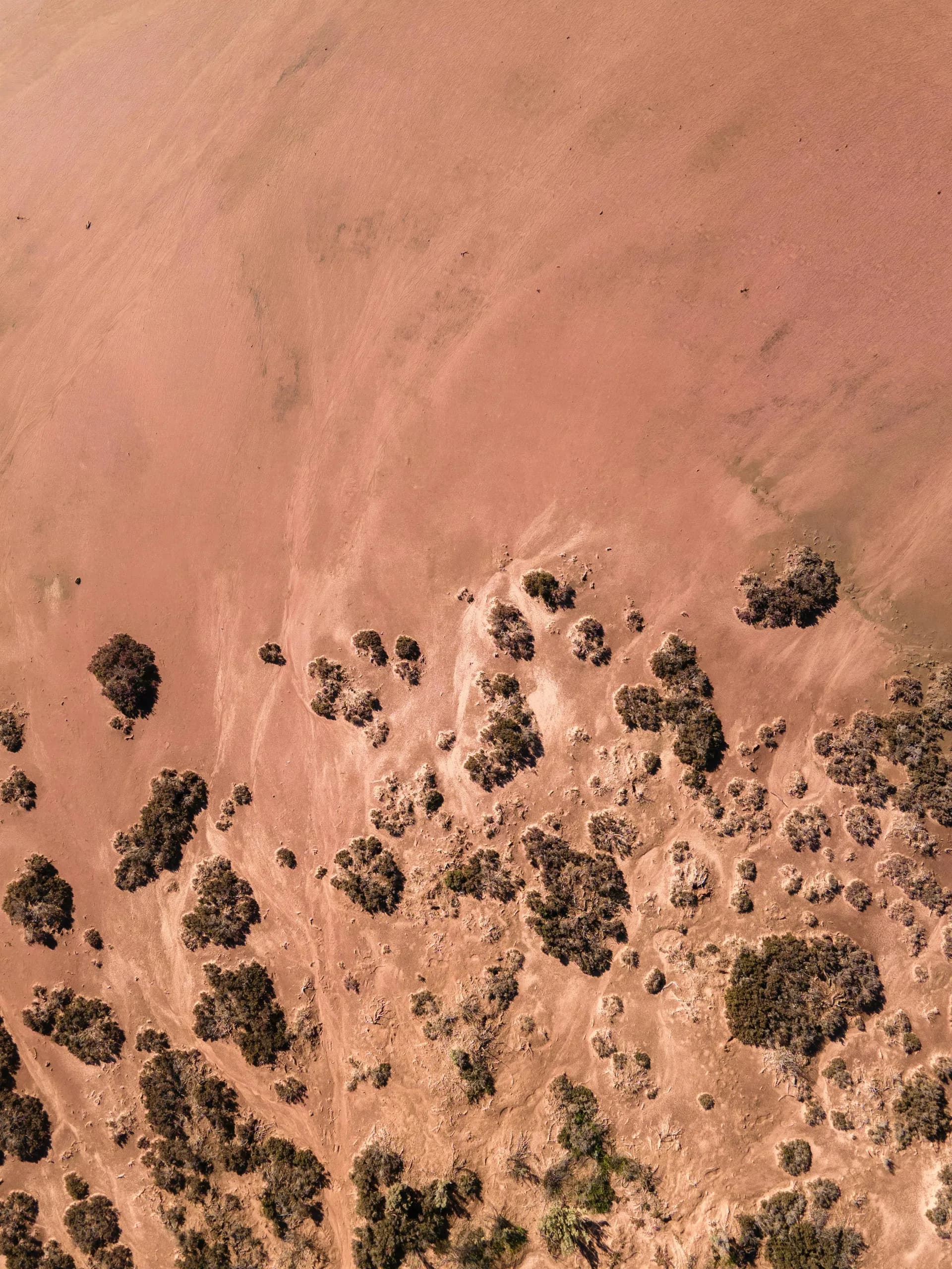 Aerial view of red outback earth with native vegetation